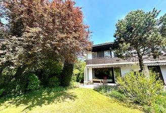 der große Garten mit dem Haus