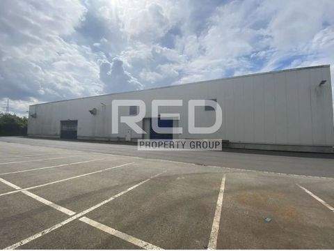 Mülheim an der Ruhr Halle, Mülheim an der Ruhr Hallenfläche