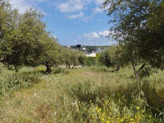 Kreta, Kalyves: Erstaunliches Grundstück im Zentrum von Kalyves zum Verkauf