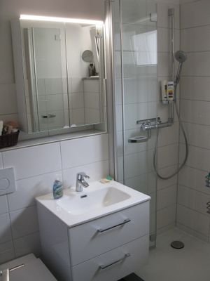 Spiegelschrank und Dusche