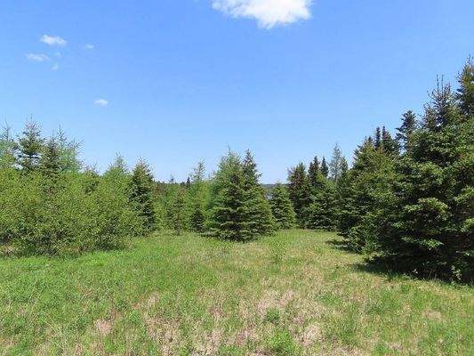 Cape Breton - Wunderschönes 10-Hektar-Areal inmitt