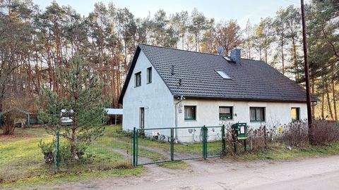 Borkwalde Häuser, Borkwalde Haus kaufen