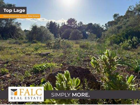 Algaida Grundstücke, Algaida Grundstück kaufen