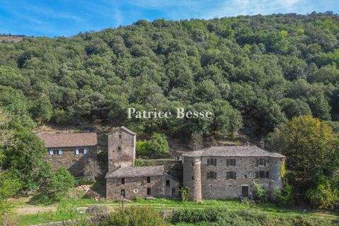 Barre-des-Cévennes Häuser, Barre-des-Cévennes Haus kaufen