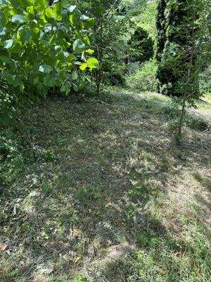 Grundstück Ansicht 1