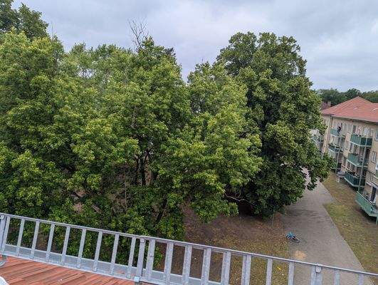 Blick in den Innenhof.jpg