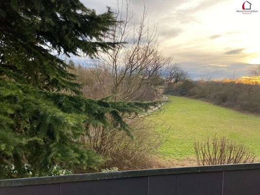 Ausblick ins Grüne