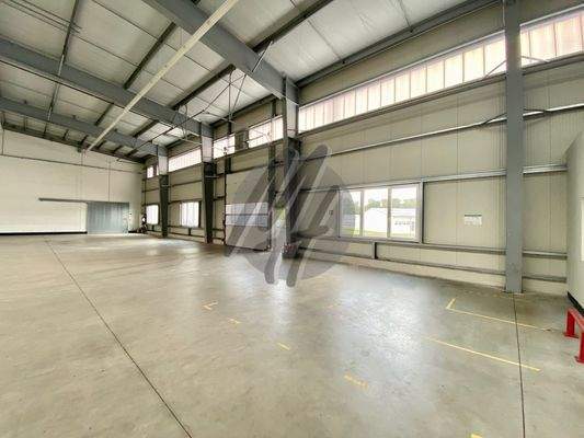 INFOS UNTER: 06171-586000