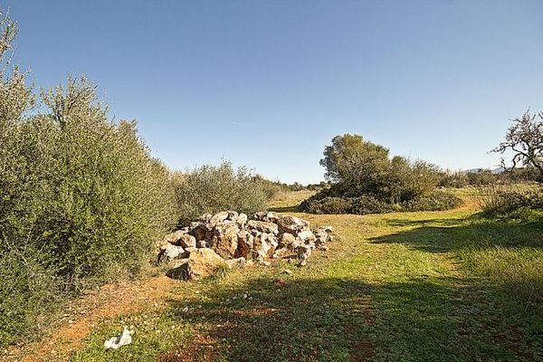 Finca-Grundstück kaufen in Campos auf Mallorca