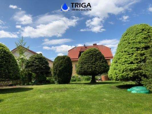 Blick vom Garten zum Haus (3)