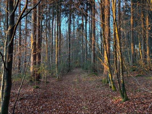 2025-12-10 16.04.53.jpg