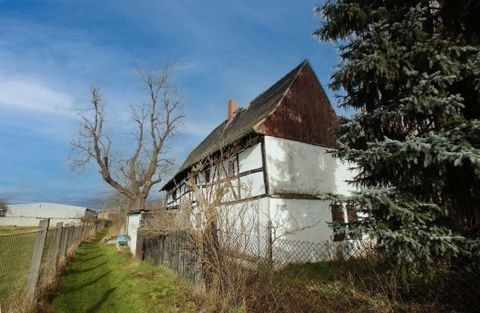 Pegau Häuser, Pegau Haus kaufen