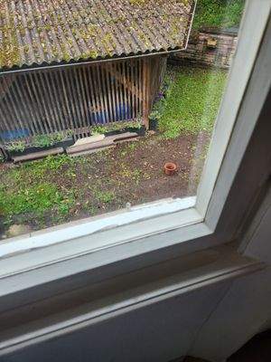 Musterfoto Fenster 1