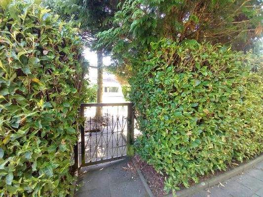 Hinterausgang Garten