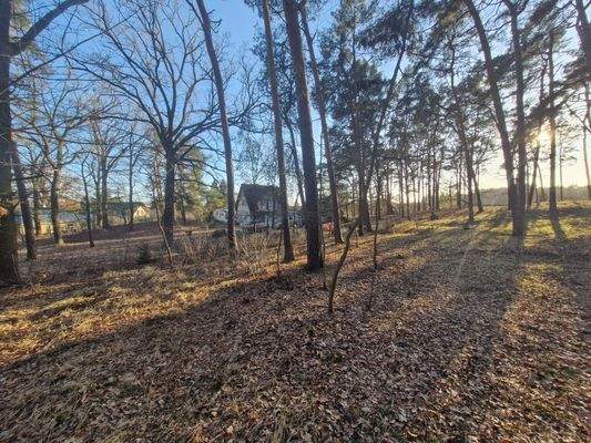 weitläufige Waldfläche des Grundstücks