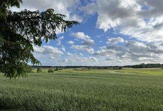 Natur pur....