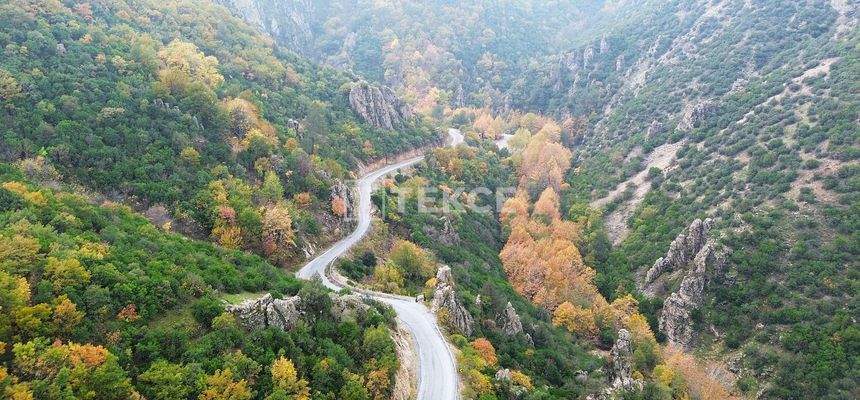 Detached Duplex Villas with Gardens in Bursa