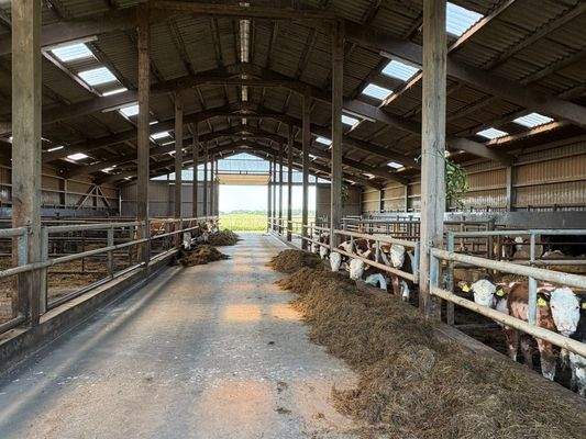 Halle / Stall II  Innen