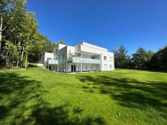 Blick aus dem Garten