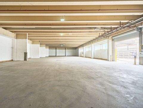 Markgröningen Halle, Markgröningen Hallenfläche