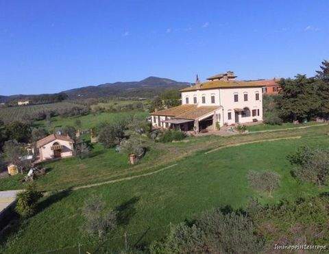 Cecina Häuser, Cecina Haus kaufen