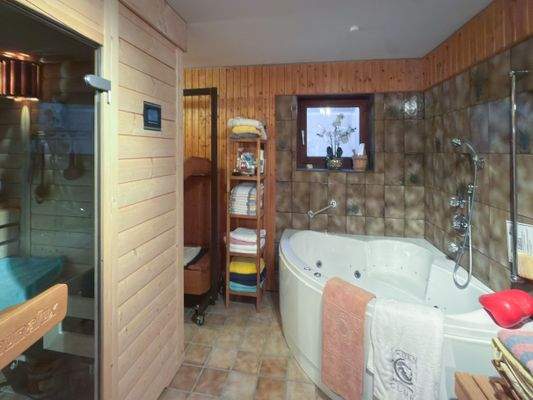 18. Sauna & Whirlpool im Untergeschoss.jpg