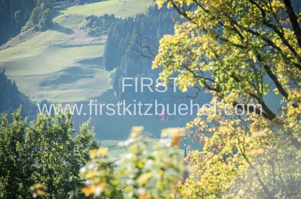 _FMP1145 Kopie