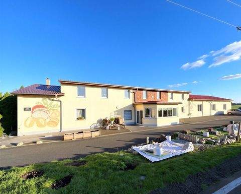 Niederau Halle, Niederau Hallenfläche