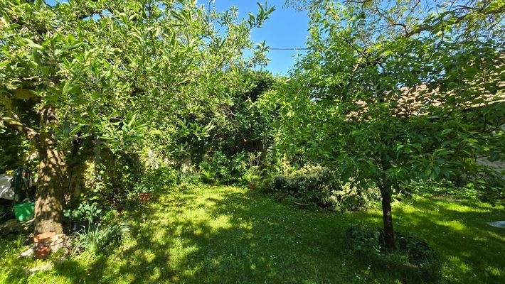 20250501_103646 másolata.jpg