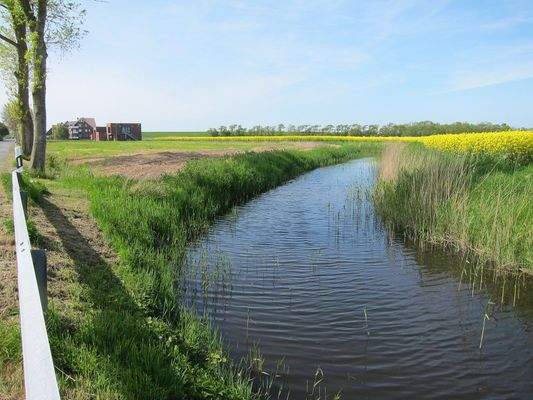 Cappeler Wasserlöse