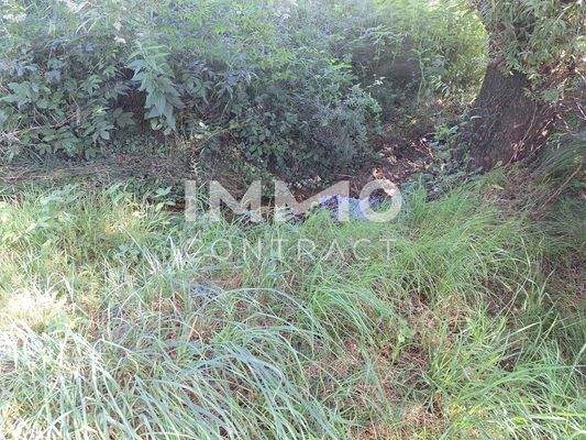 Bachverlauf - Grundgrenze