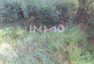 Bachverlauf - Grundgrenze