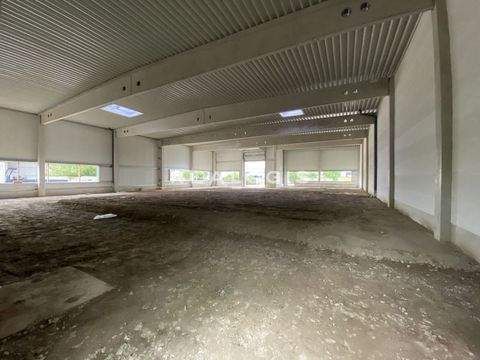 Holzgerlingen Halle, Holzgerlingen Hallenfläche