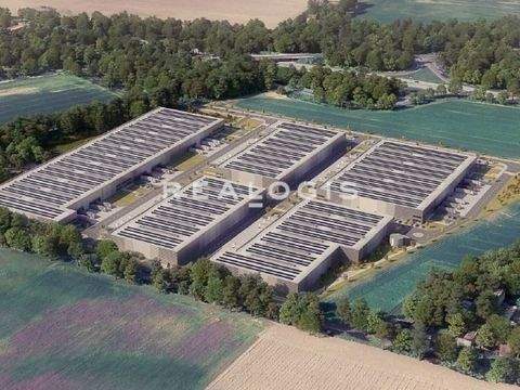 Bernau Halle, Bernau Hallenfläche