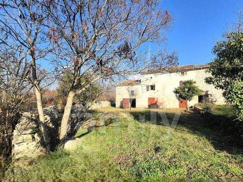 Vodnjan Häuser, Vodnjan Haus kaufen