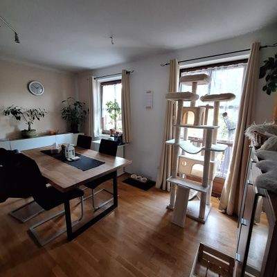 PHOTO-2026-01-13-16-19-39 11.jpg