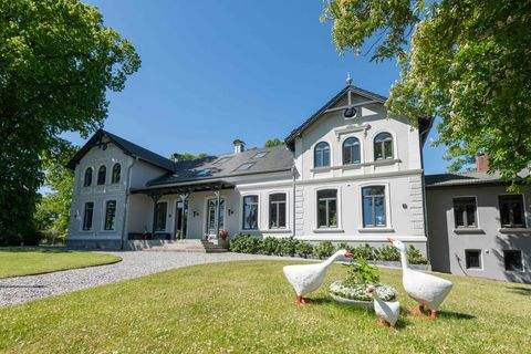 Boren/Ekenis Häuser, Boren/Ekenis Haus kaufen