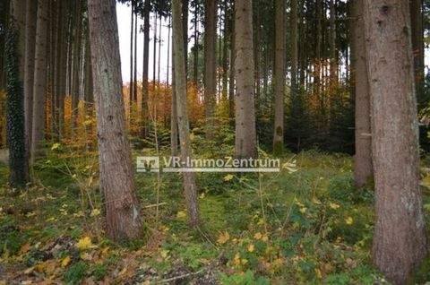 Kaufering Bauernhöfe, Landwirtschaft, Kaufering Forstwirtschaft