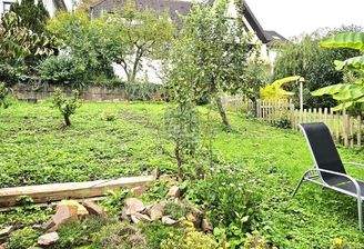 hinterer Gartenbereich 2