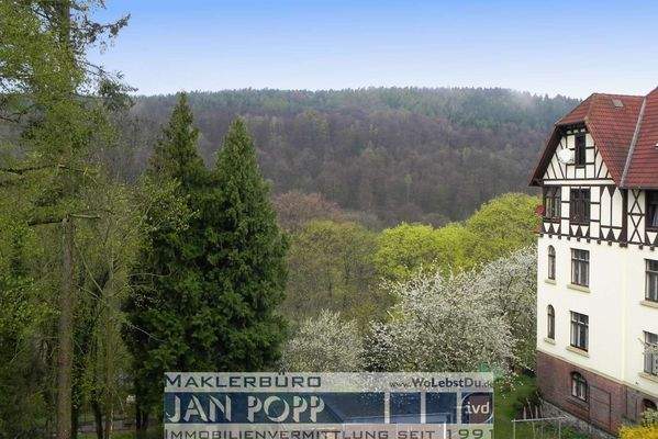 Blick aus dem Wohnzimmer