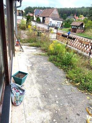 PHOTO-2025-09-02-12-51-33 (5).jpg