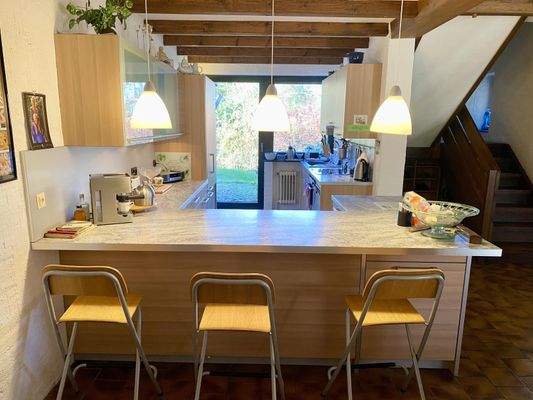 Offene Küche mit Gartenzugang