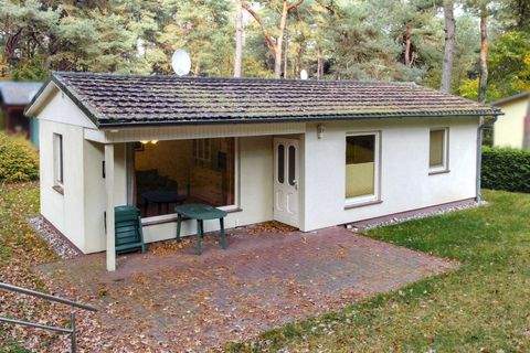 Altenkirchen Renditeobjekte, Mehrfamilienhäuser, Geschäftshäuser, Kapitalanlage