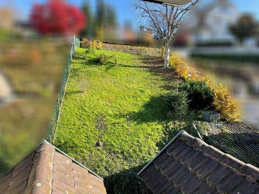 Garten - Blick vom Haus