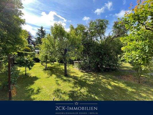 Albrecht-Dürer 22 017