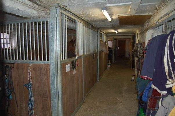 18 Stall mit Pferdeboxen