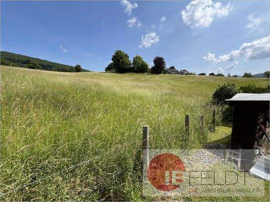 Ansicht auf das Feld hinterm Haus