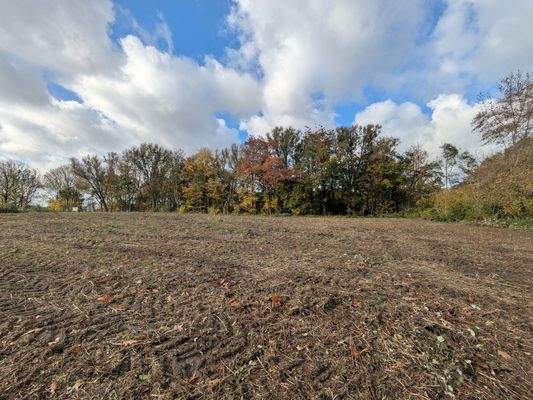 Blick Richtung Westen