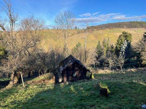 Weinstadt Grundstücke, Weinstadt Grundstück kaufen