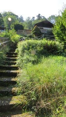 Treppe zum Haus.JPG